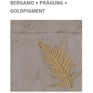Bergamo Lehmputz Beton Optik 12,5 kg
